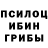 Псилоцибиновые грибы Cubensis Vad Dik