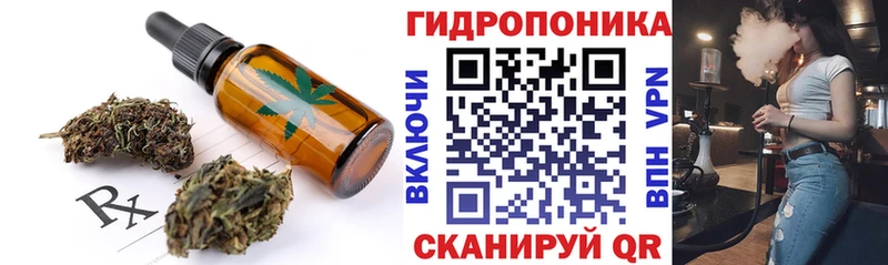 Купить где  Андреаполь  Canna-Cookies конопля 