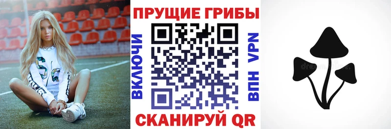 Купить закладки  Андреаполь  Псилоцибиновые грибы прущие грибы 